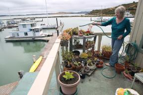 'Point San Pablo Yacht Harbor resident's complain of firing range noise' Point San Pablo Yacht Harbor resident's complain of firing range noise